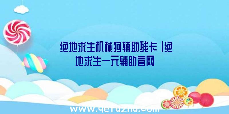 「绝地求生机械狗辅助残卡」|绝地求生一元辅助官网